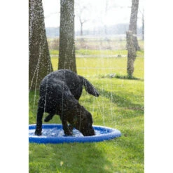 Coolpets Splash Pool Sproeier -Plein Winkel 1002988 3