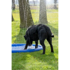 Coolpets Splash Pool Sproeier -Plein Winkel 1002988 4