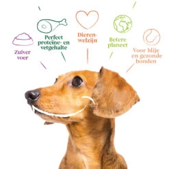 4x Yarrah Bio Hondenvoer Multipack Paté Graanvrij Kip - Kalkoen -Plein Winkel 1003007 4