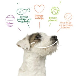 4x Yarrah Bio Hondenvoer Multipack Paté Graanvrij Rund - Kip -Plein Winkel 1003009 4