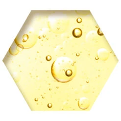 Plein Winkel -Plein Winkel 1003345 2