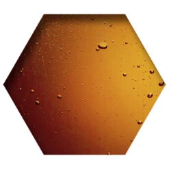 Plein Winkel -Plein Winkel 1003393 2