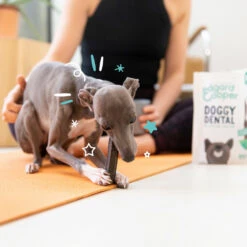 4x Edgard & Cooper Doggy Dental Sticks Appel - Eucalyptusolie -Plein Winkel 1004978 4