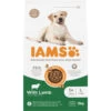 Iams Dog Adult Large Lam