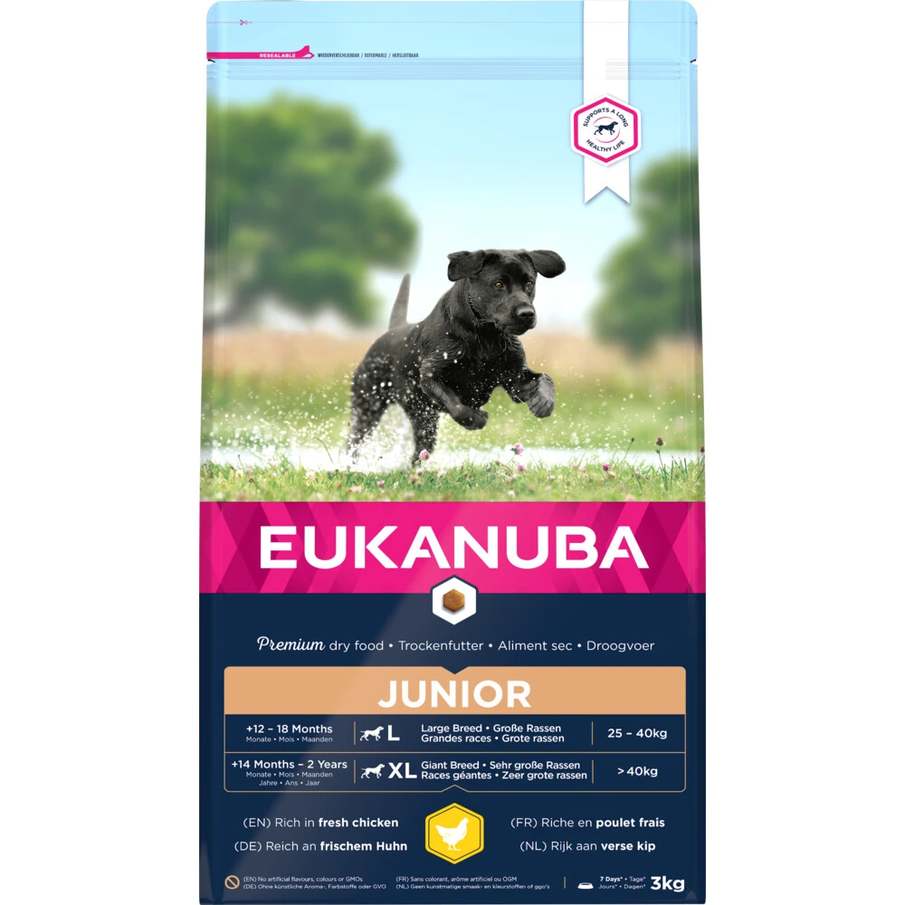 Eukanuba Dog Developing Junior Large 1 Eukanuba Dog Developing Junior Large