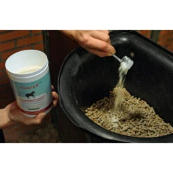 Finecto+ Horse Oral -Plein Winkel 1007087 3