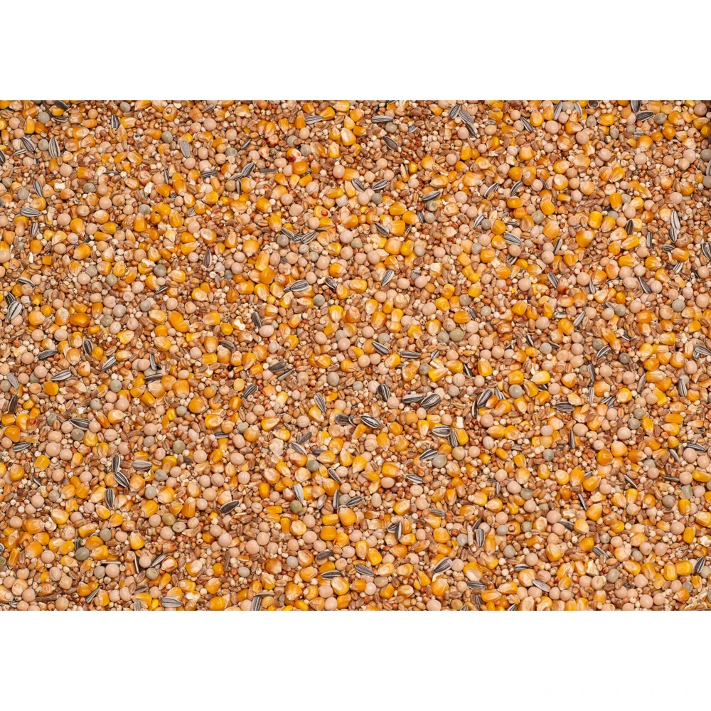 Beyers Basic Racing 2 Beyers Basic Racing - Afbeelding 2