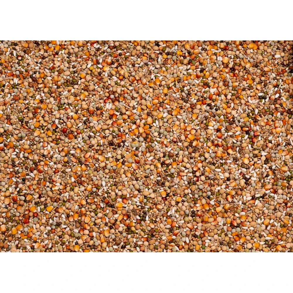 Beyers Olympia 52 Kweek & Jonge Duif Mariëndistel 2 Beyers Olympia 52 Kweek & Jonge Duif Mariëndistel - Afbeelding 2