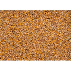 Plein Winkel -Plein Winkel 1007134 2