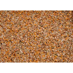 Plein Winkel -Plein Winkel 1007142 2