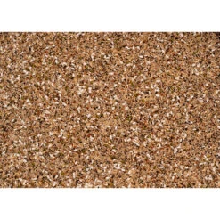 Plein Winkel -Plein Winkel 1007144 2