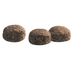 Prins Protection Croque Mini Senior Fit Hondenvoer 6 Prins Protection Croque Mini Senior Fit Hondenvoer -Plein Winkel 1016883 3