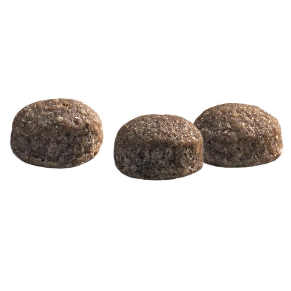 Prins Protection Croque Mini Senior Fit Hondenvoer 3 Prins Protection Croque Mini Senior Fit Hondenvoer - Afbeelding 3