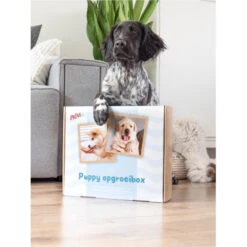 Prins Opgroeibox Protection Croque Puppy 7 Prins Opgroeibox Protection Croque Puppy -Plein Winkel 1016885 4