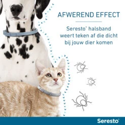 Seresto Anti Teken En Vlooien Halsband Hond Vanaf 8 Kg -Plein Winkel 1019462 4