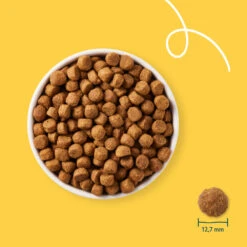 Yarrah Bio Hondenvoer Adult Kip -Plein Winkel 1020189 3