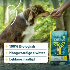 Yarrah Bio Hondenvoer Adult Kip -Plein Winkel 1020189 4