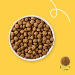 Yarrah Bio Hondenvoer Sensitive Adult Kip - Rijst -Plein Winkel 1020191 3