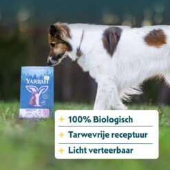 Yarrah Bio Hondenvoer Sensitive Adult Kip - Rijst -Plein Winkel 1020191 4