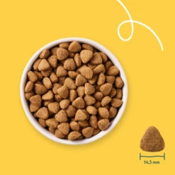 Yarrah Bio Hondenvoer Vegetarisch -Plein Winkel 1020243 3