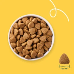 Yarrah Bio Hondenvoer Vegetarisch Tarwe Vrij -Plein Winkel 1020510 3