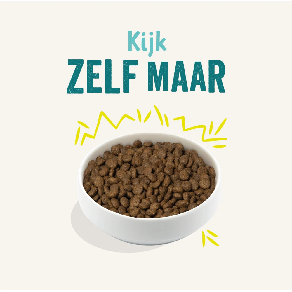 Edgard & Cooper Plantaardig Hondenvoer Wortel - Courgette 3 Edgard & Cooper Plantaardig Hondenvoer Wortel - Courgette - Afbeelding 3