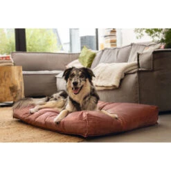 Designed By Lotte Ligkussen Nalino Hond Roze -Plein Winkel 1031628 3