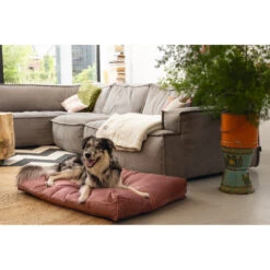 Designed By Lotte Ligkussen Nalino Hond Roze -Plein Winkel 1031628 4