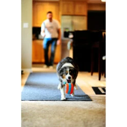 Chuckit! Chuckit Indoor Roller -Plein Winkel 1033094 3