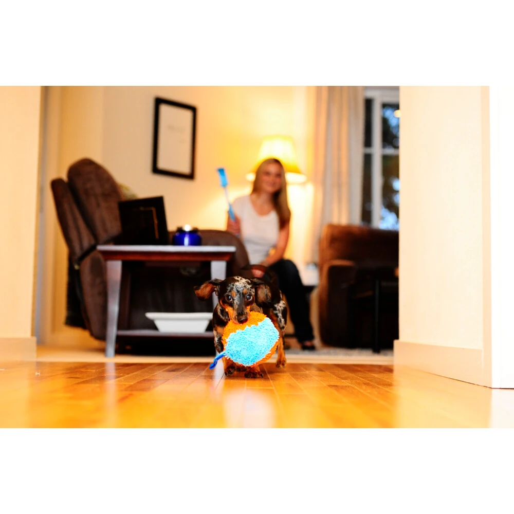 Chuckit! Chuckit Indoor Shaker 2 Chuckit! Chuckit Indoor Shaker - Afbeelding 2