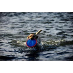 Chuckit! Chuckit Paraflight Large -Plein Winkel 1033098 4