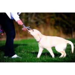 Chuckit! Chuckit Ultra Toss Medium -Plein Winkel 1033117 3