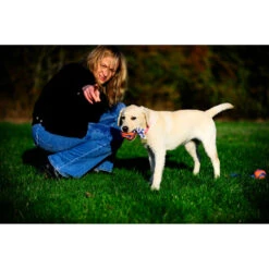 Chuckit! Chuckit Ultra Toss Medium -Plein Winkel 1033117 4