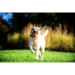 Chuckit! Chuckit Ultra Tug Large -Plein Winkel 1033119 3