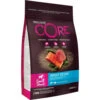 Wellness Core Hondenvoer Small Ocean Zalm