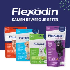 Flexadin Adult Dog Kauwbrokjes -Plein Winkel 1054025 3