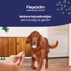 Flexadin Adult Dog Kauwbrokjes -Plein Winkel 1054025 4