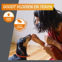 Frontpro Hond M 4-10 Kg -Plein Winkel 1057966 4