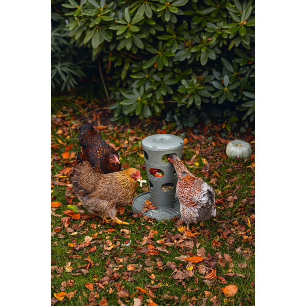 Beeztees Voertoren Voor Kippen Grijs 4 Beeztees Voertoren Voor Kippen Grijs - Afbeelding 4