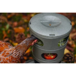 Beeztees Voertoren Voor Kippen Grijs 9 Beeztees Voertoren Voor Kippen Grijs -Plein Winkel 1059396 5