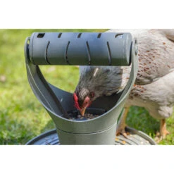 Beeztees Speel- En Snacktoren Voor Kippen Grijs -Plein Winkel 1059397 4