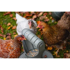 Beeztees Speel- En Snacktoren Voor Kippen Grijs -Plein Winkel 1059397 5