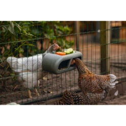 Beeztees Voerbak Voor Kippen Grijs -Plein Winkel 1059398 5
