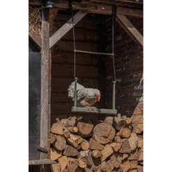 Beeztees Kippenschommel Grijs -Plein Winkel 1059403 5