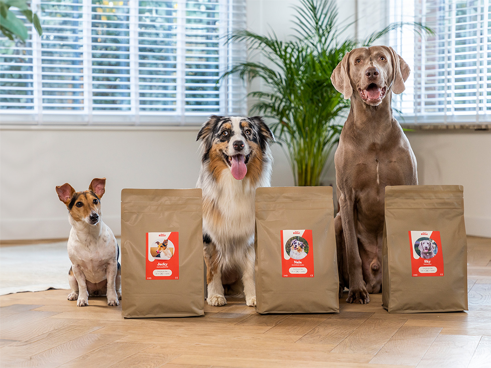 Plein Winkel -Plein Winkel 202202 jr foto mariakerke 5b