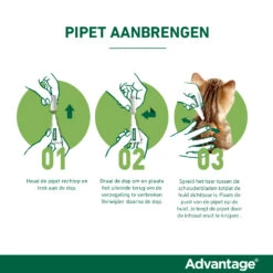 Advantage Anti Vlooiendruppels Hond 10 - 25 Kg -Plein Winkel 701812 4