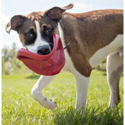 Kong Flyer Frisbee Rood -Plein Winkel 703705 3
