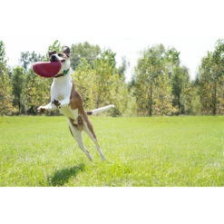 Kong Flyer Frisbee Rood -Plein Winkel 703705 4