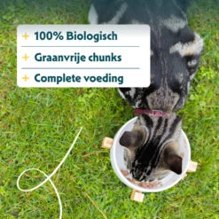 16x Yarrah Bio Kattenvoer Chunks Kip - Rund -Plein Winkel 704651 3