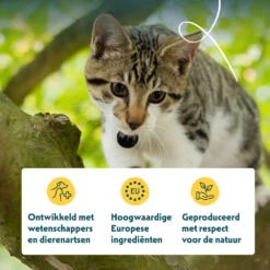 16x Yarrah Bio Kattenvoer Chunks Kip - Rund -Plein Winkel 704651 4